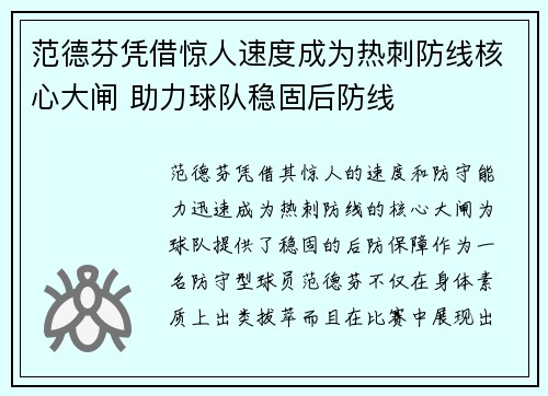 范德芬凭借惊人速度成为热刺防线核心大闸 助力球队稳固后防线 范德芬凭借惊人速度成为热刺防线核心大闸 助力球队稳固后防线
