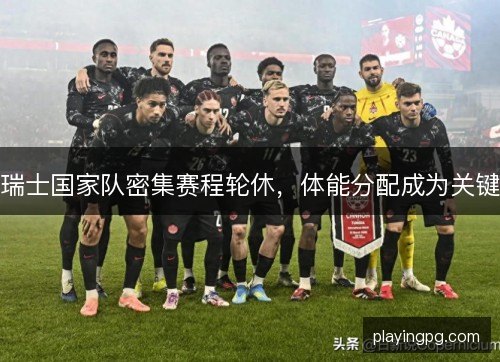 瑞士国家队密集赛程轮休，体能分配成为关键